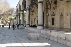 IMG_1153